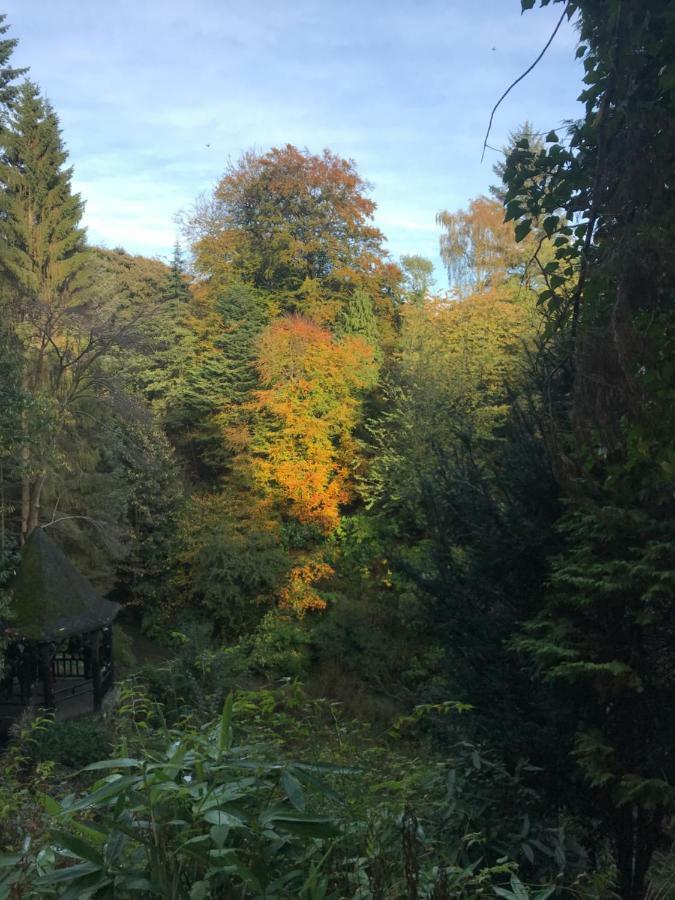 Appartamento Millhill St Dunfermline Esterno foto